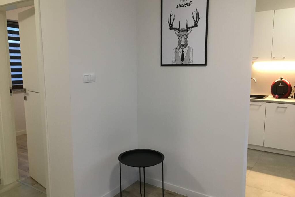 Apartament Fibra Americano Рибник Екстериор снимка