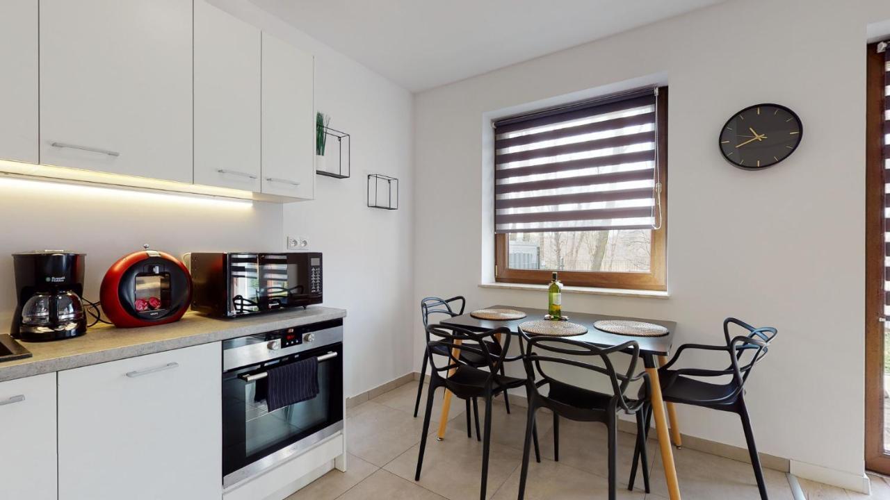 Apartament Fibra Americano Рибник Екстериор снимка